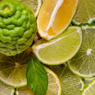Kompozycja zapachowa EasyFragrances - Bergamot & Lime