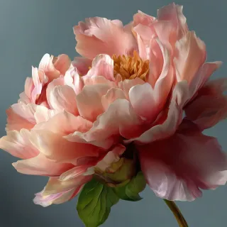 Olejek zapachowy UFIGREEN - Peony