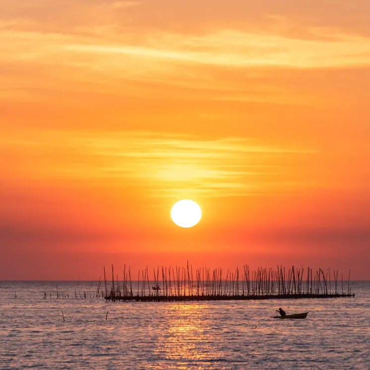 Kompozycja zapachowa EasyFragrances - Orange Sunset