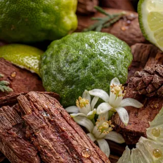 Olejek zapachowy UFIGREEN - Bergamot & Cedar