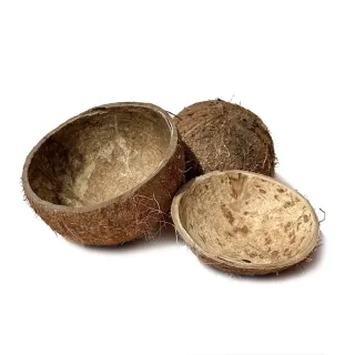 Łupina kokosa naturalna z włosem 7-12 cm