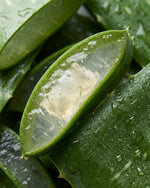 Baza mydlana glicerynowa z aloesem EasySoap - Aloe