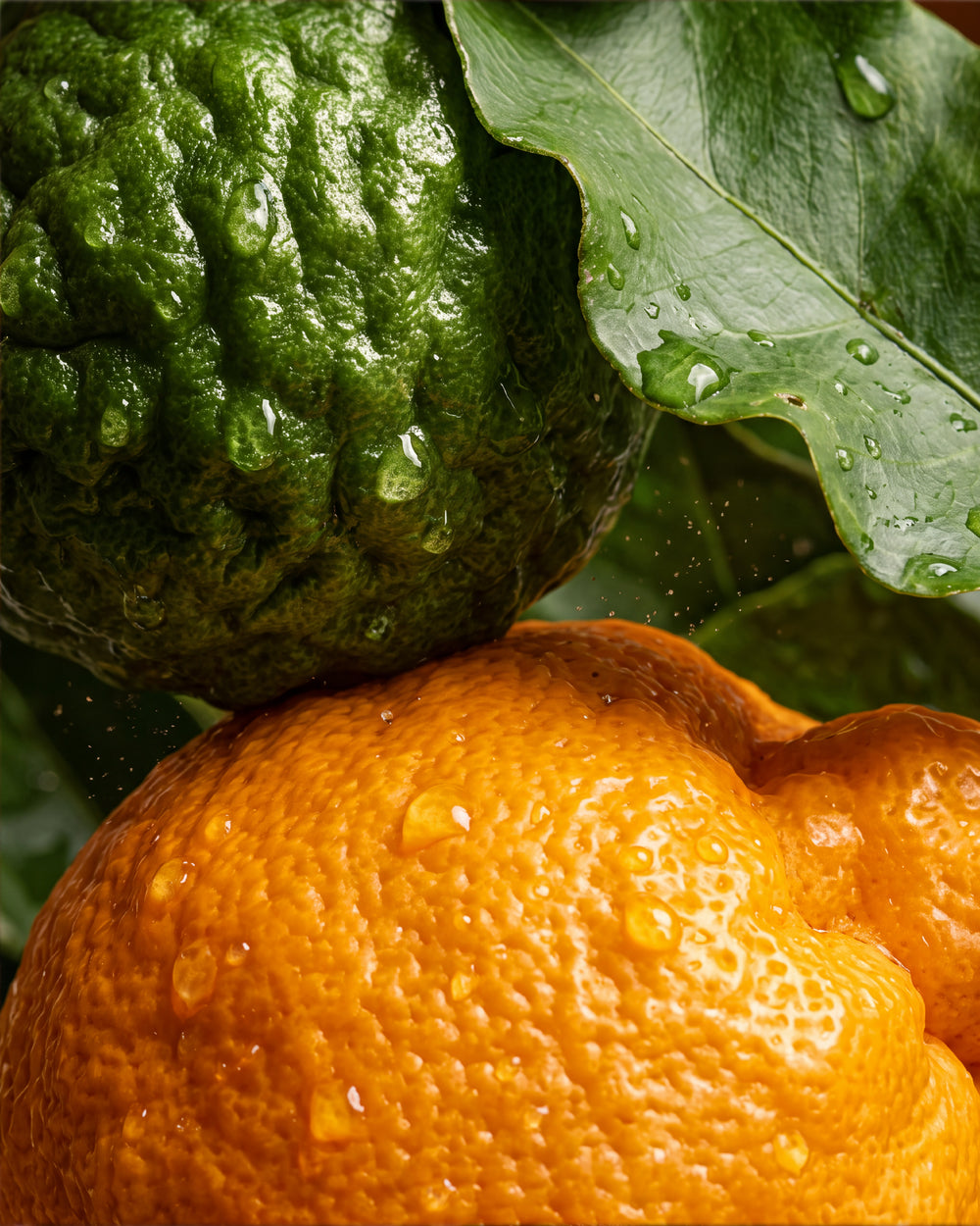 Olejek zapachowy UFIGREEN - Bergamote & Juicy Orange