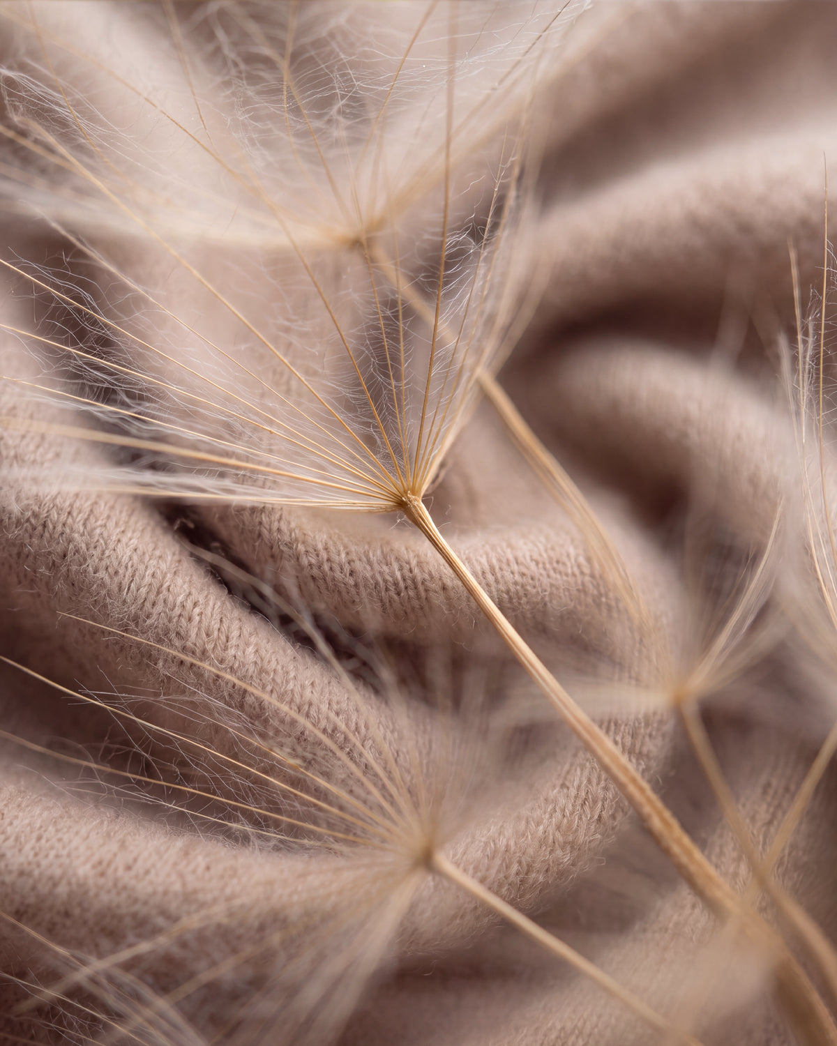 Olejek zapachowy UFIGREEN - Cashmere Kiss