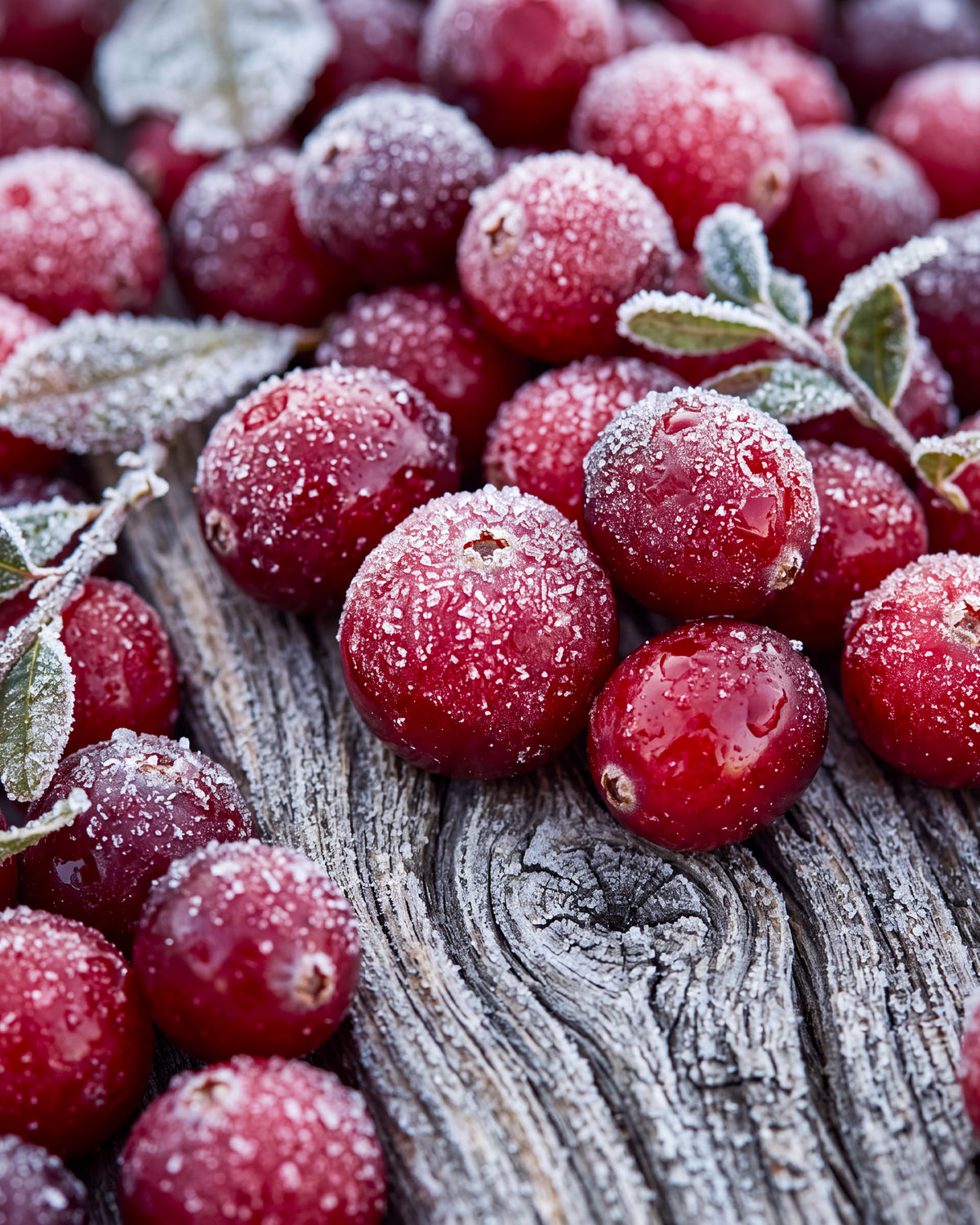 Olejek zapachowy UFIREADY - Cranberry Woods