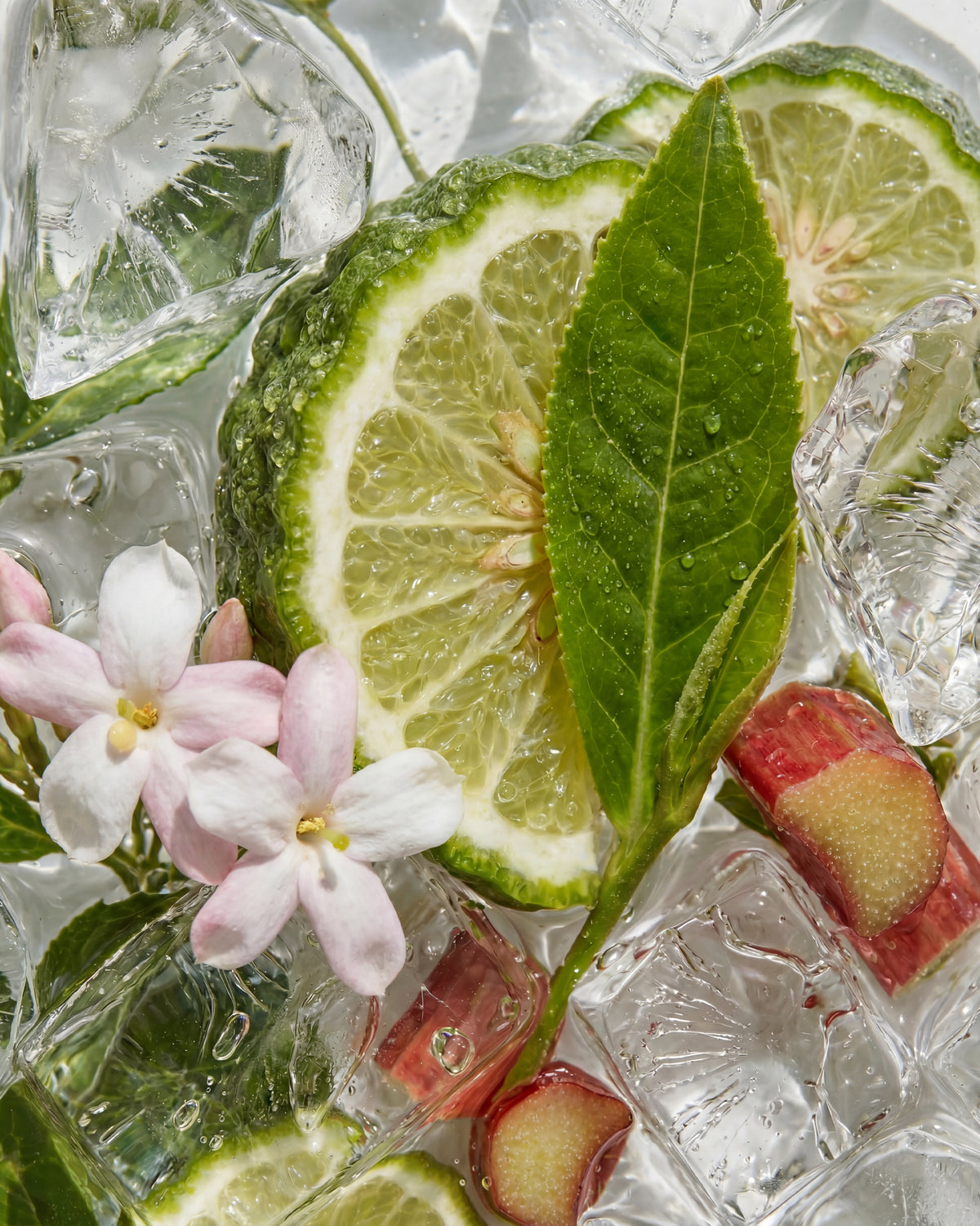 Olejek zapachowy EasyFragrances - Green Tea & Tonic