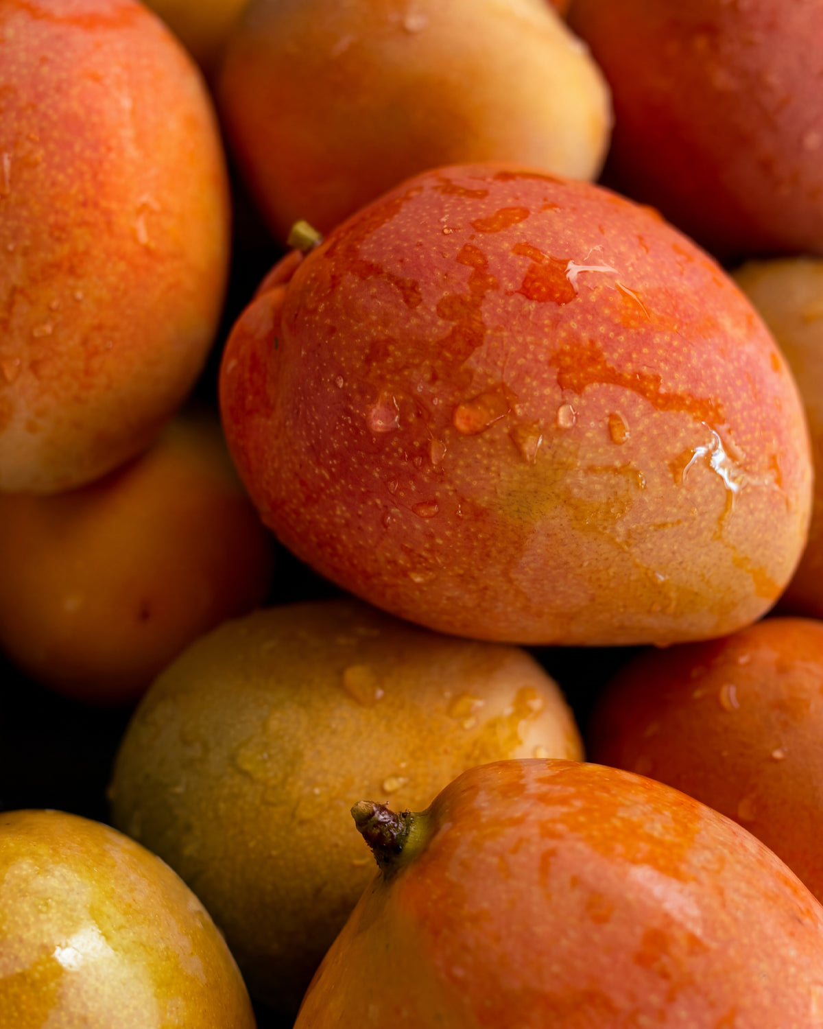 Olejek zapachowy UFIREADY - Mangofruit