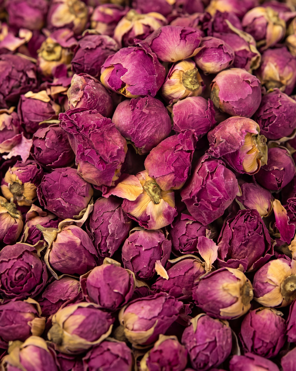 Suszone pąki piwonii całe