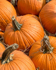 Olejek zapachowy FC&F - Perfectly Pumpkin