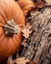 Olejek zapachowy UFIREADY - Pumpkin Woods