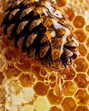 Olejek zapachowy UFIGREEN - Pinecone & Honey